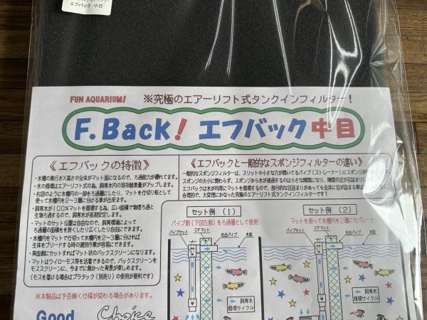 画像1: F・Back中目 (1)