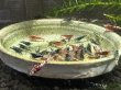 画像2: ローキーズGALAXYフィッシュボーン　ブラック10匹セット (2)
